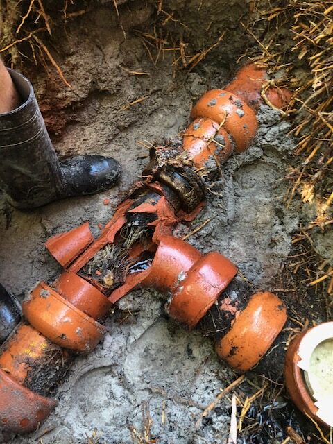 Tree root in drain requiring blocked drain plumber in Perth