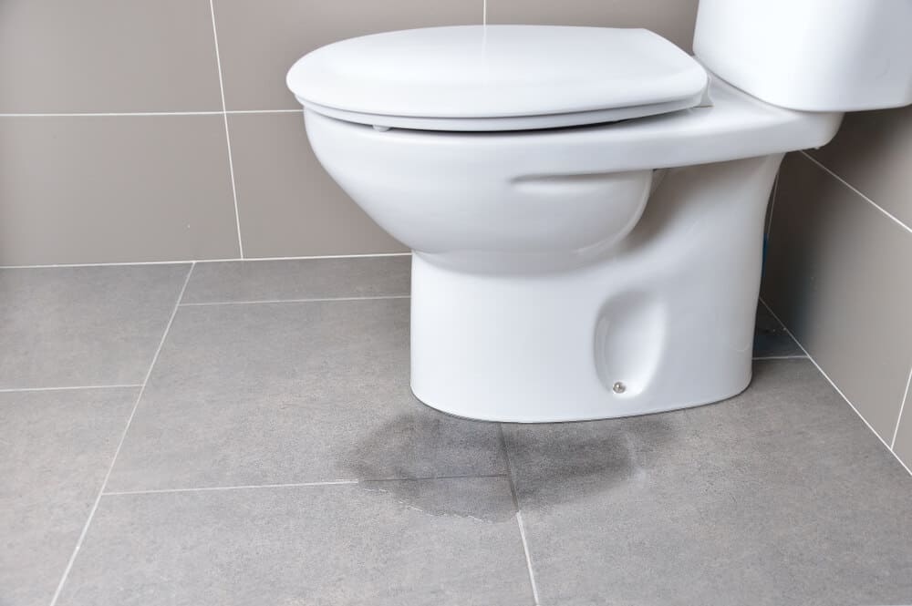 Leaking toilet needs service from professional plumber